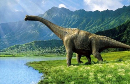 Dinosauri-foligno_civitanova marche_jacopo_marocco